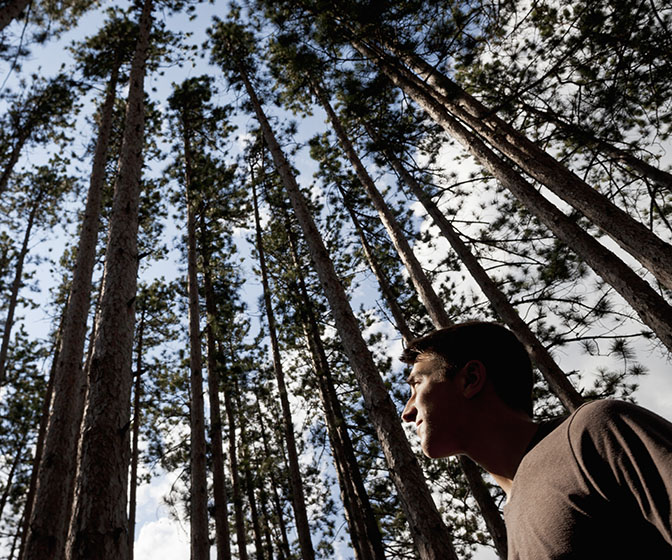 Children playing in open air,USA,A young man looking up into the pine forest tree tops.